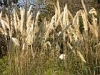 barcelone046.JPG