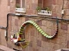 barcelone061.JPG