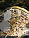 barcelone078.JPG