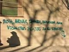 barcelone116.JPG